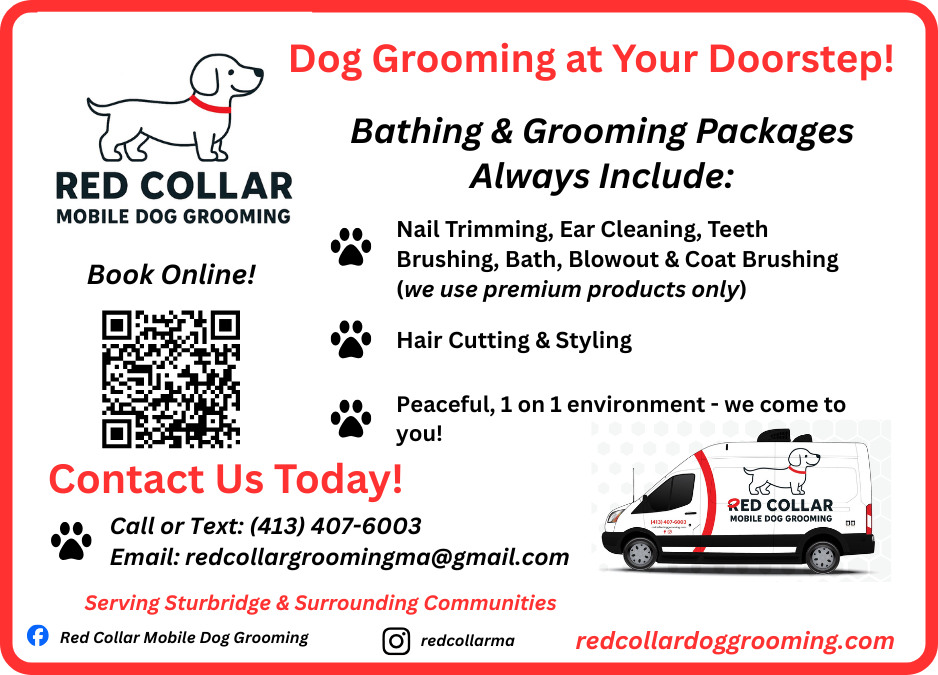 Your paragraph text (3.125 x 2.25 in) (1)